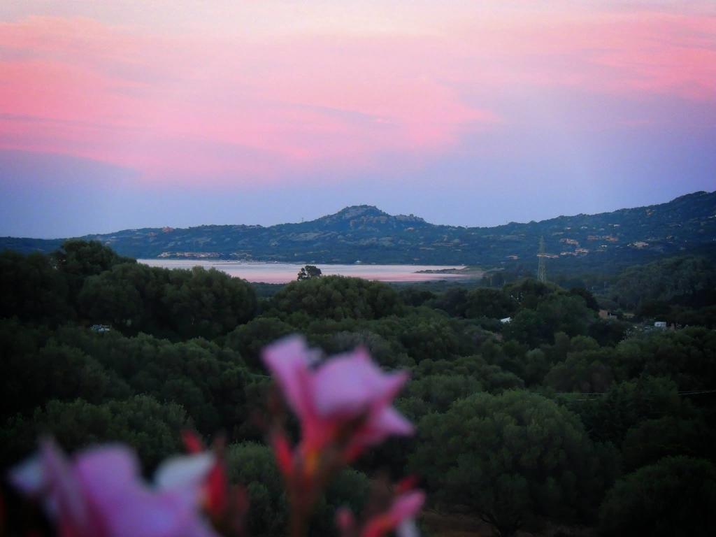 Agriturismo Sa Mendhula Куняна Стая снимка