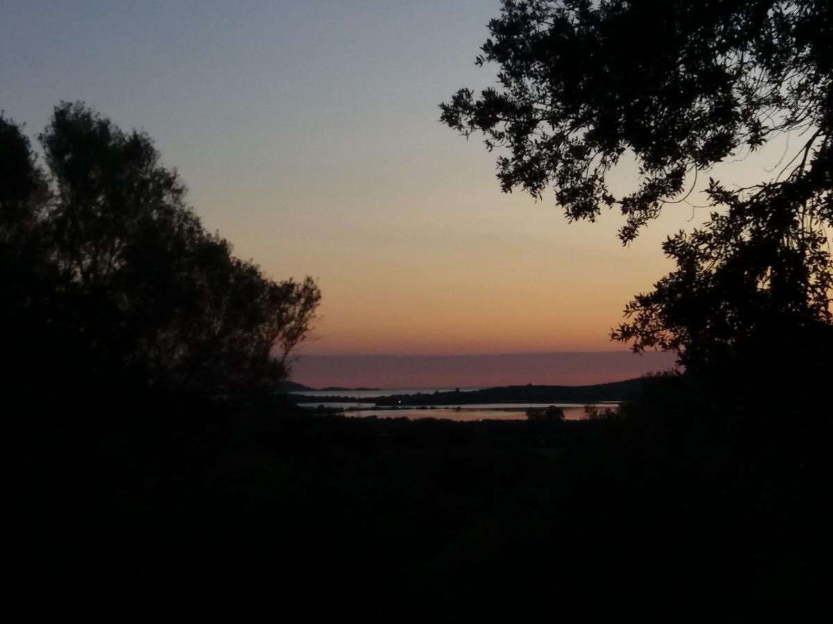 Agriturismo Sa Mendhula Куняна Екстериор снимка