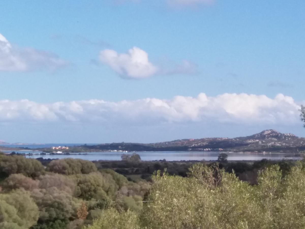 Agriturismo Sa Mendhula Куняна Екстериор снимка