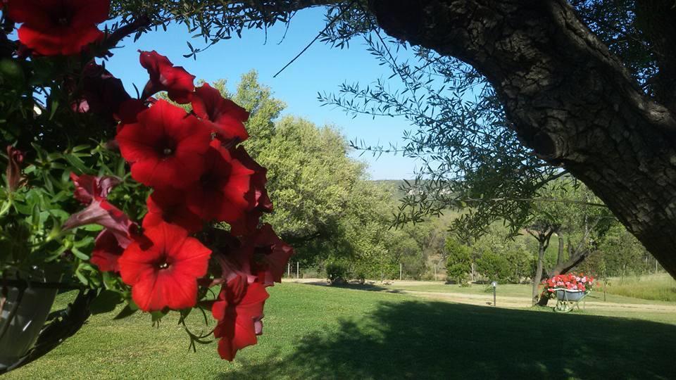 Agriturismo Sa Mendhula Куняна Екстериор снимка