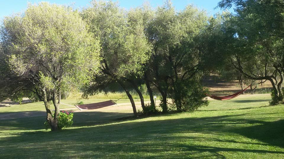 Agriturismo Sa Mendhula Куняна Екстериор снимка